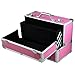 Popamazing Large Aluminum Waterproof Stylish Beauty Makeup Box Luggage Cosmetic Case (Pink)