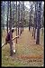 Produktbild HyzerNotes: A Disc Golf Journal