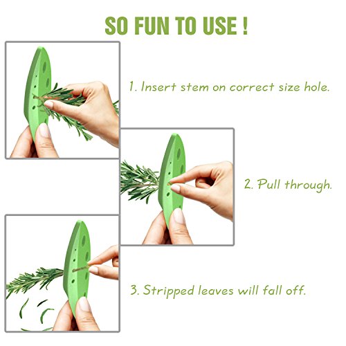 Nuovoware Kräuterentferner Blatt Stripper, [2 Stücken] Kohl, Zuckerrüben, Grünkohl und Kraut Scheider mit verschiedenen Größen Löcher und Plastik Schermesser, Beste Gemüse Küchenhelfer, Grün - 3