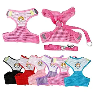 Royale Dog Breathable Small Dog Harness Cat Puppy Vest Leash Straps for Cats Chihuahua (Black, Medium)