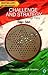 Challenge and Strategy: Rethinking India