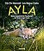 Ayla - meine ungewöhnliche Freundschaft mit einem jungen Fuchs by Silje Elin Matnisdal, Leiv Magnus Grøtte