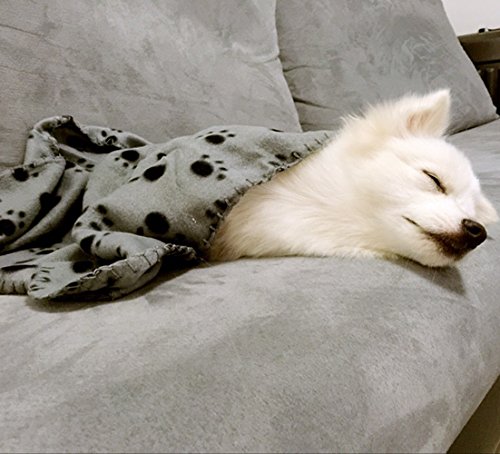 Comsmart-Warm-Dog-Cat-Fleece-Blankets-Mat-Pad-Bed-Cover-with-Paw-Print-Soft-for-Kitties-Puppies-and-Other-Small-Animals-5-Pack-of-24x28-Inches