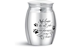 SBI Jewelry Small Urn for Ashes Mum Dad Grandma Grandpa Dog Pets Cat Rabbit Puppy Cremation Mini Heart Paw Memorial Keepsake Holder