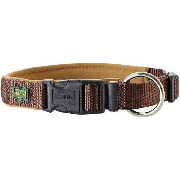 Berner Sennenhund L 50-55 cm Halsumfang : Amazon.de: Haustier