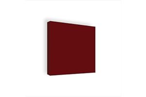Stop Sound Pannello acustico fonoassorbente, pannelli fonoassorbenti alte prestazioni 64x64x5 Certificati Made in Italy (Rosso)