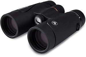 Celestron 71406 TrailSeeker 10x42 BaK-4 Prism Binoculars, Black