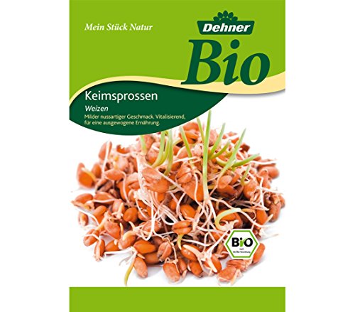 Dehner Bio Keimsprossen, 8 Sorten, Kresse, Brokkoli, Rettich, Radies, Weizen, Rauke, Bohnen, Alfalfa - 6