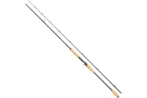 Abu Garcia Beast Pro Power Pike Baitcasting Rod, Lure Fishing Rod, SpinPower Pike Baitcasting Rods