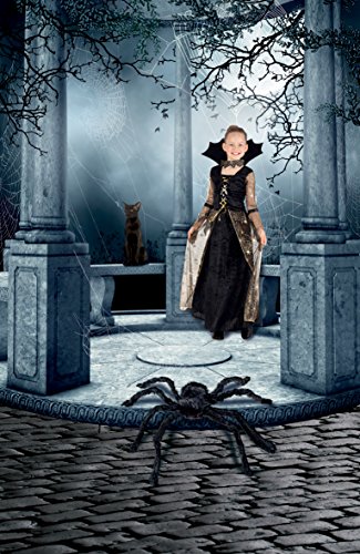 Boland 74394 – Haarige Spinne, 70 cm, schwarz - 2
