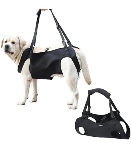 Imbracatura Zaino Per Cani GOEDCH — Supporto Zampe Posteriori, Per Trasporto Scale/Auto, Cani Anziani O Con Artrite (19-30 Lbs)