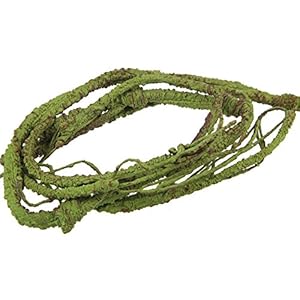 Emours – Rama flexible de decoración para terrario de lagarto, rana, serpientes y más reptiles, pequeño, 100 cm de largo