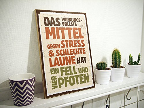 Holzschild mit Spruch – FELL UND VIER PFOTEN – shabby chic retro vintage nostalgie deko Typografie Bild im used-look aus MDF-Holz, Schild, Wandschild, Türschild, Holztafel, Holzbild mit Zitat / Aphorismus als Geschenk und Dekoration zum Thema Hund, Katze, Haustier und Stress von TypeStoff (19,5 x 28,2 cm) - 2