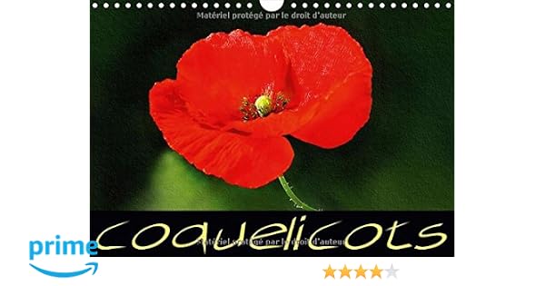 Amazonfr Coquelicots Série De Tableaux De Fleurs De - 