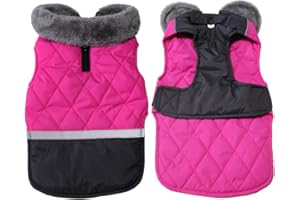 JoyDaog - Abrigo reversible para perros pequeños, impermeable, cálido, para invierno, color rosa oscuro S