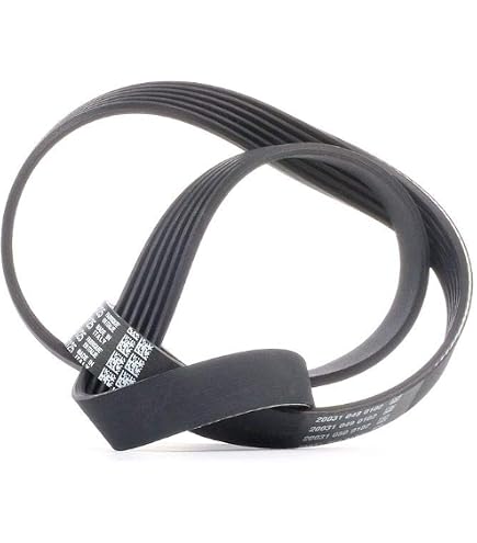 SKF VKMV 6PK1123 Courroie Multi-V Accessoires - Qualité OEM Pour Une Transmission Fiable