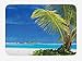 Produktbild PdGAmats Ocean Bath Mat, Caribbean Polynesia Tropics Small Palm Trees Relaxing Vacation Seascape Image 23.6 W X 15.7W Inches