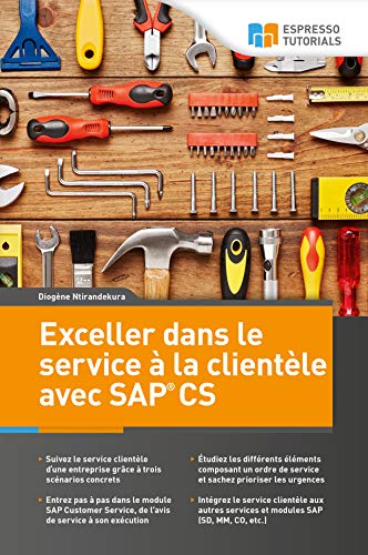 Télécharger Exceller dans le service à la clientele avec SAP CS Livre PDF Gratuit