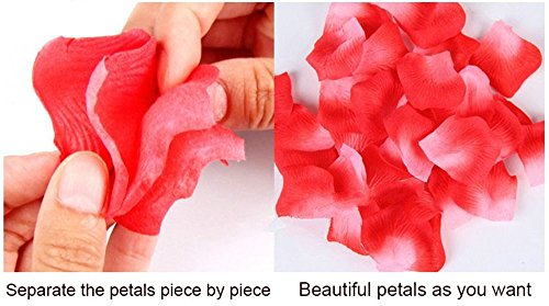 iLoveCos Künstliche Blumen Rosenblätter Rosenblüten Farbe Hochzeit Party 2000 Stück (rot) - 4