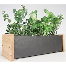 Suchergebnis auf Amazon.de für: kräuter fensterbank