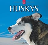 Huskys 2013 - Original Stürtz-Kalender by