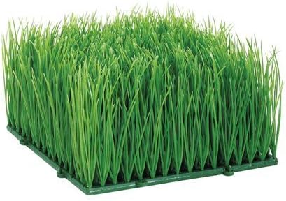 Artificial Wheat Grass- Fake Soft PVC Plastic Decorative Wheatgrass: Ornamantal Flower Arranging &amp; Home Decor - 6"x6"x4" by Living Whole Foods