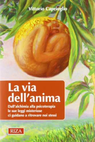 La via dell'anima. Dall'alchimia alla psicoterapia le sue leggi misteriose ci guidano a ritrovare noi stessi