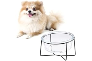 AHX Glass Cat Bowl - Elevated Cat Dog Bowl with Metal Stand for Water and Food - Tilted and Raised Pet Dish for Cats and Small Size Dogs - Microwave and Dishwasher Safe 16.9 oz