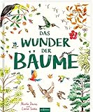 Das Wunder der Bäume by Nicola Davies, Lorna Scobie