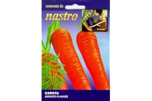 FRANCHI SEMENTI SPA CAROTA GIGANTE FLAKKEE IN NASTRO
