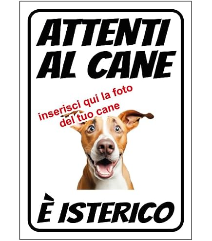 Cartello Umoristico Per Casa Con Cane Maltese – "Attenti Al Padrone, Qui L'unico Normale Sono Io" – Pannello Forex 5mm, 20x31 Cm