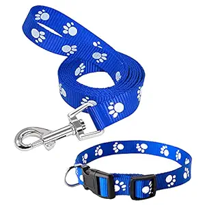 YOUSTYLO - YOU ARE PRIORITY Dog Collar and Leash Set with Safety Locking Buckle Nylon Pet Collars Adjustable for Small Medium Dogs (120 cm, Blue)