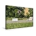 Produktbild Calvendo Premium Textil-Leinwand 45 cm x 30 cm Quer, Nico P. - Kickflip | Wandbild, Bild auf Keilrahmen, Fertigbild auf Echter Leinwand, Leinwanddruck Sport Sport