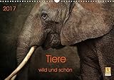 Tiere - wild und schön (Wandkalender 2017 DIN A3 quer): Kunstvoll gestaltete Tierportraits (Monatskalender, 14 Seiten ) (CALVENDO Tiere) by 