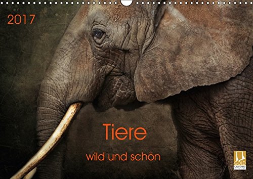 Tiere - wild und schön (Wandkalender 2017 DIN A3 quer): Kunstvoll gestaltete Tierportraits (Monatskalender, 14 Seiten ) (CALVENDO Tiere)