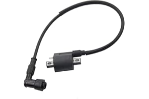 GOOFIT Ignition Coil Replacement For CG 125CC 150cc 200cc 250cc MTB/ATB Go Kart Dirt Bike Pit Bike Four Wheeler Quad Bikes 90 PW50 KX60 KX65 KX80 KX85 KX125 KX250 KDX200 ATV