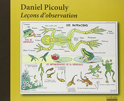 Leçons d'observation