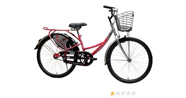 lady bird breeze cycle price