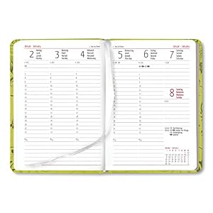 Alpha Edition Ladytimer 170837 Agenda per Anno 2017