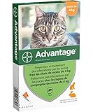 ADVANTAGE Chat - Anti-Puces pour Chats - Moins de 4KG - 6 Pipettes