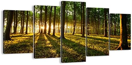 Canvas Picture - 5 Piece - 160x85cm (63,0x35,5") - 2510-5 Part Panels - Ready to Hang - wall art print - Completely framed - Image printed - art on canvas - Art print Images - EA160x85-2510