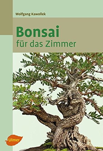 Download Bonsai für das Zimmer
