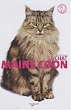 Le chat Maine Coon