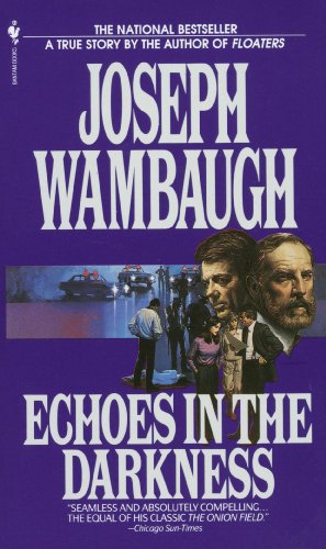 Echoes in the Darkness (English Edition)