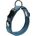 Truelove Dog Training Collar TLC5011 Reflective Premium Buckle Nylon Webbing Pet Dog Collars,High Grade Nylon Webbing No Choke Basic Collars Now Available (S, Blue)