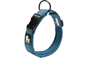 Truelove Dog Training Collar TLC5011 Reflective Premium Buckle Nylon Webbing Pet Dog Collars,High Grade Nylon Webbing No Choke Basic Collars Now Available (M, Blue)