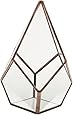 Glas Terrarium Geometrisch – 16 X 16 X 15 Cm, Mit Kupfer-Akzent, Für Sukkulenten Oder Deko