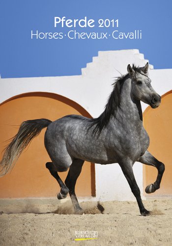 Großer farbiger Pferdekalender, Horses, Chevaux, Cavalli 2011