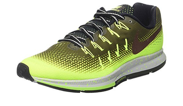 zoom pegasus 33 shield