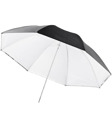 AnnonceD Lite Rx 2 - Chez un spécialiste du Studio